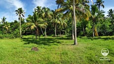 Cherthala 2.5 Acres Highway Side Land