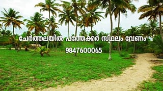 Cherthala Real Estate | Want/Need/Required 10 Acres of Land in Cherthala, Alappuzha