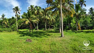 Resort Purpose Land in Mararikulam