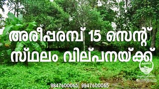 15 Cents Commercial Land For Sale in Areeparambu | Areeparambu Real Estate