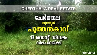 13 Cent House Plot For Sale in Puthankavu, Thuravoor, Cherthala Taluk