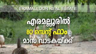 80 Cents Chicken/Duck Farm For Monthly Rent in Eramalloor, Cherthala