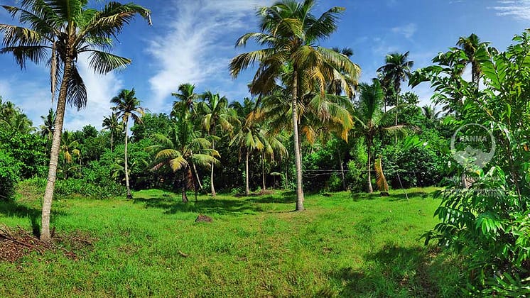 Resort Purpose Land in Mararikulam