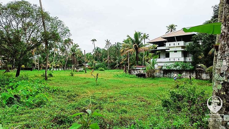 Residential House Plot in Thankey, near NH