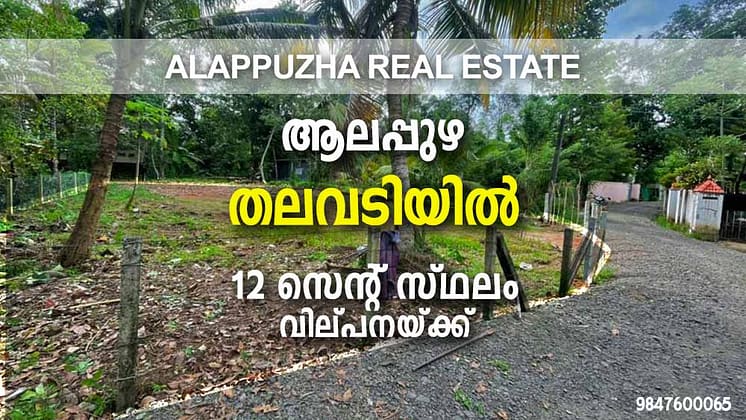 12 Cent House Plot Land For Sale in Thalavady, Alappuzha | തലവടിയില്‍ സ്ഥലം വില്പനയ്ക്ക്